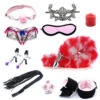 Kawaii Angel Soft BDSM Lover Gothic Bondage Gear Accessories Sex Toy Set - 10 PCS Set(Kawaii Pink Angel Soft Bdsm Lover Gothic Bondage Gear Accessories Set 10 Pcs Set) -sofyee store 12072606012 1721519149