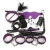 BDSM Gear 10PCS Set-Giddyup Accessories(Bdsm Gear 10pcs Set Giddyup Accessories)