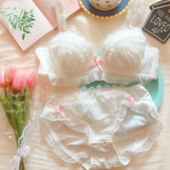 Pink Angel Japanese Cute Bra Set(Pink Angel Japanese Cute Bra Set) -sofyee store O1CN01KusTQ61caAtJZ0Gxt 1064353616