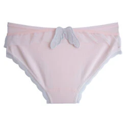 Japanese Cute Angel Wings Low Waist Briefs(Japanese Cute Angel Wings Low Waist Briefs) -sofyee store O1CN01r7hVvX1PSlNDN16NJ 2774911840 0 lubanu s