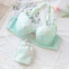 Japanese Spring Flower Blossom Cute Sweetie Push Up Bra Set(Japanese Spring Flower Blossom Cute Sweetie Push Up Bra) 2 Japanese Spring Flower Blossom Cute Sweetie Push Up Bra Set(Japanese Spring Flower Blossom Cute Sweetie Push Up Bra) -sofyee store TB2LLLhchrI8KJjy0FpXXb5hVXa 2774911840
